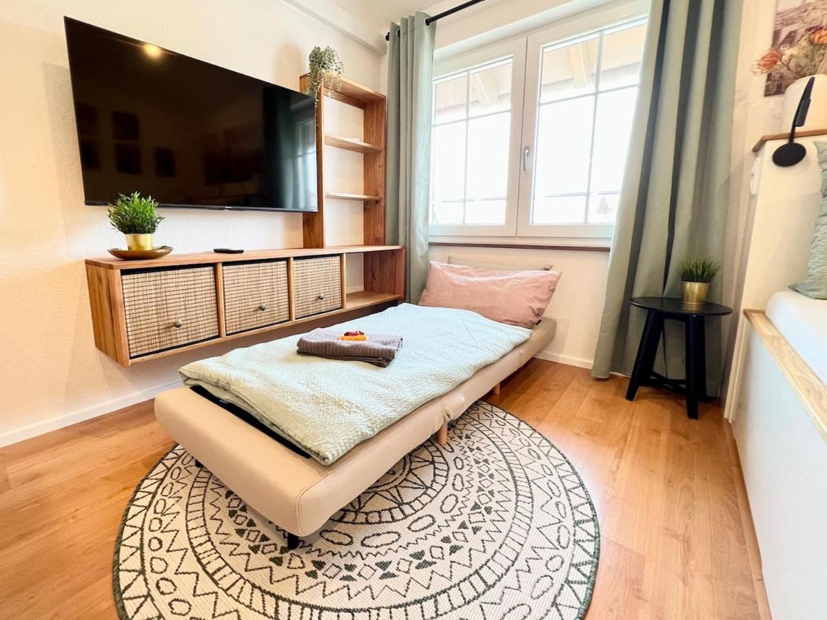 Stilvolles Mikroapartment In Kehl Goldscheuer - 1A Guesthouse 外观 照片